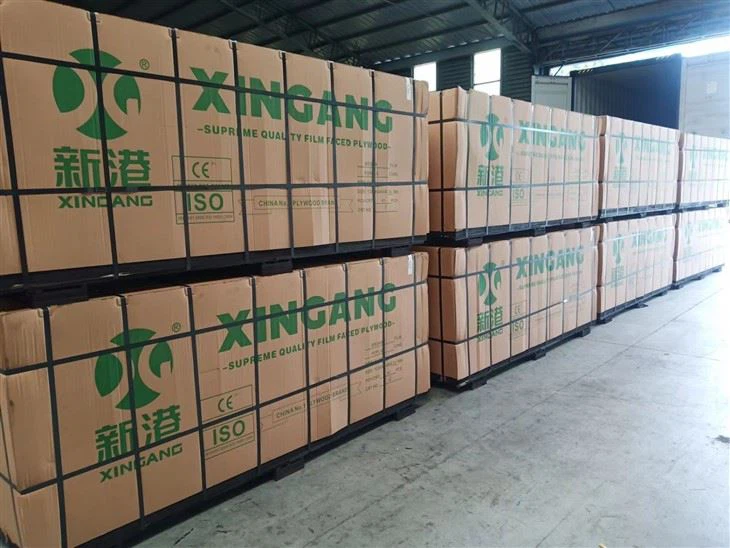 1250X2500mm Full Birch Core Anti-slip Film Coated Plywood/anti-slip Film Faced Plywood Truck Floor Dance Stage