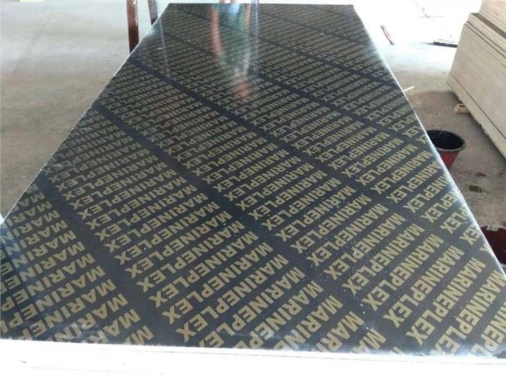 18mm Concrete Plywood Factory in China