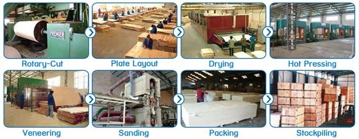 Anti-slip Shuttering Plywood 18mm Marine Plywood For Construction
