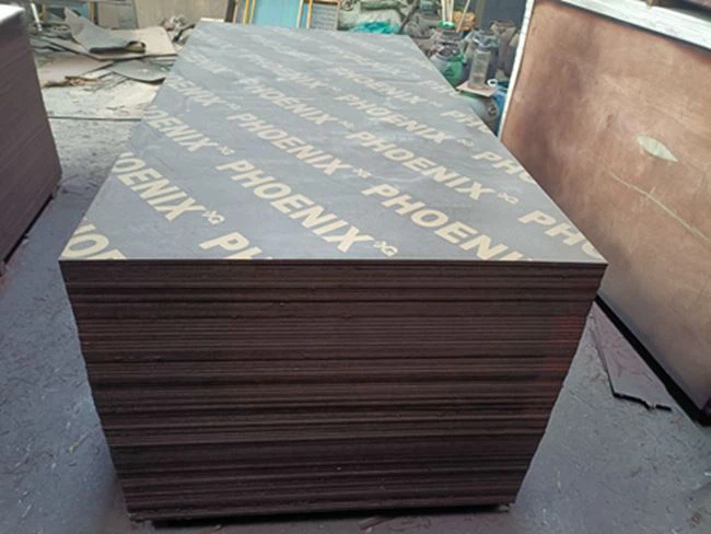Schwarzer Film / Marina Board / XINGANG-GRUPPE / CHINA