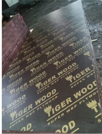 Filmbeschichtetes Sperrholz / Marine Board