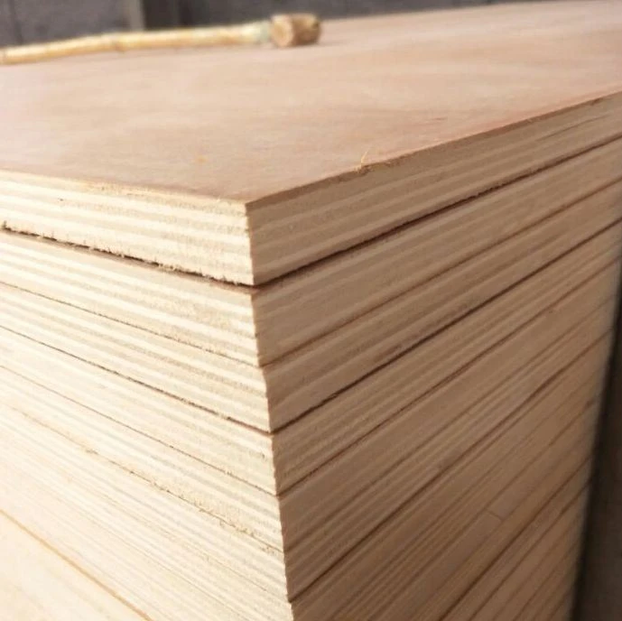 Okoume/Bintangor/Pine/Birch/Sapale Commercial Plywood 1220x2440mm