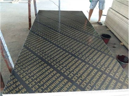 Meistverkauftes filmbeschichtetes Sperrholz auf dem Markt der Vereinigten Arabischen Emirate
