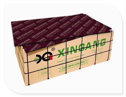 Schiffssperrholzlieferant-Xingang Group