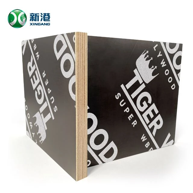 WBP Glue Marine Plywood