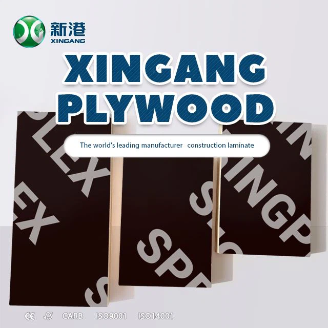 Xingang Brand Marine Sperrholz Flm Facing Sperrholz