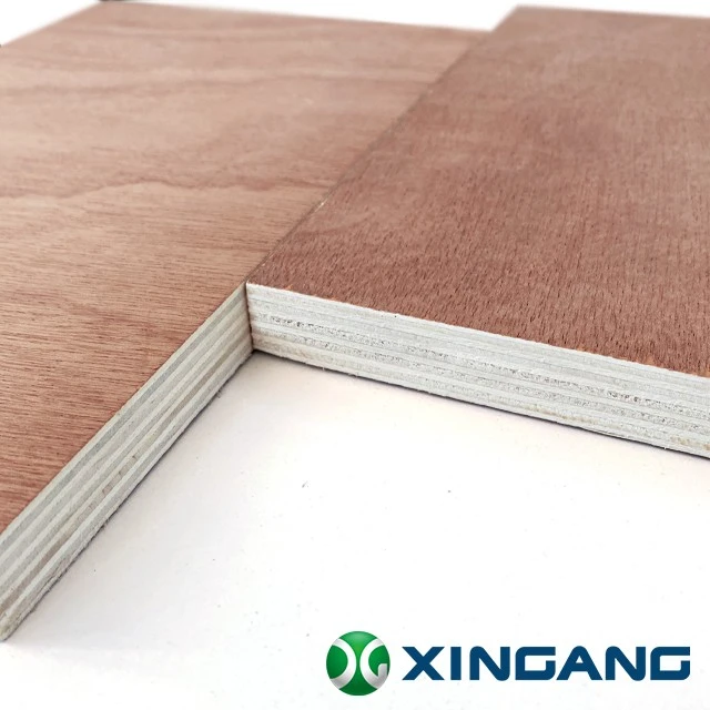 Sapele Plywood